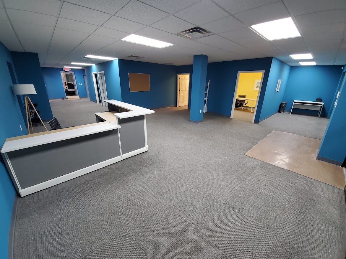 Finished office reception with blue walls, grey carpet, and desk